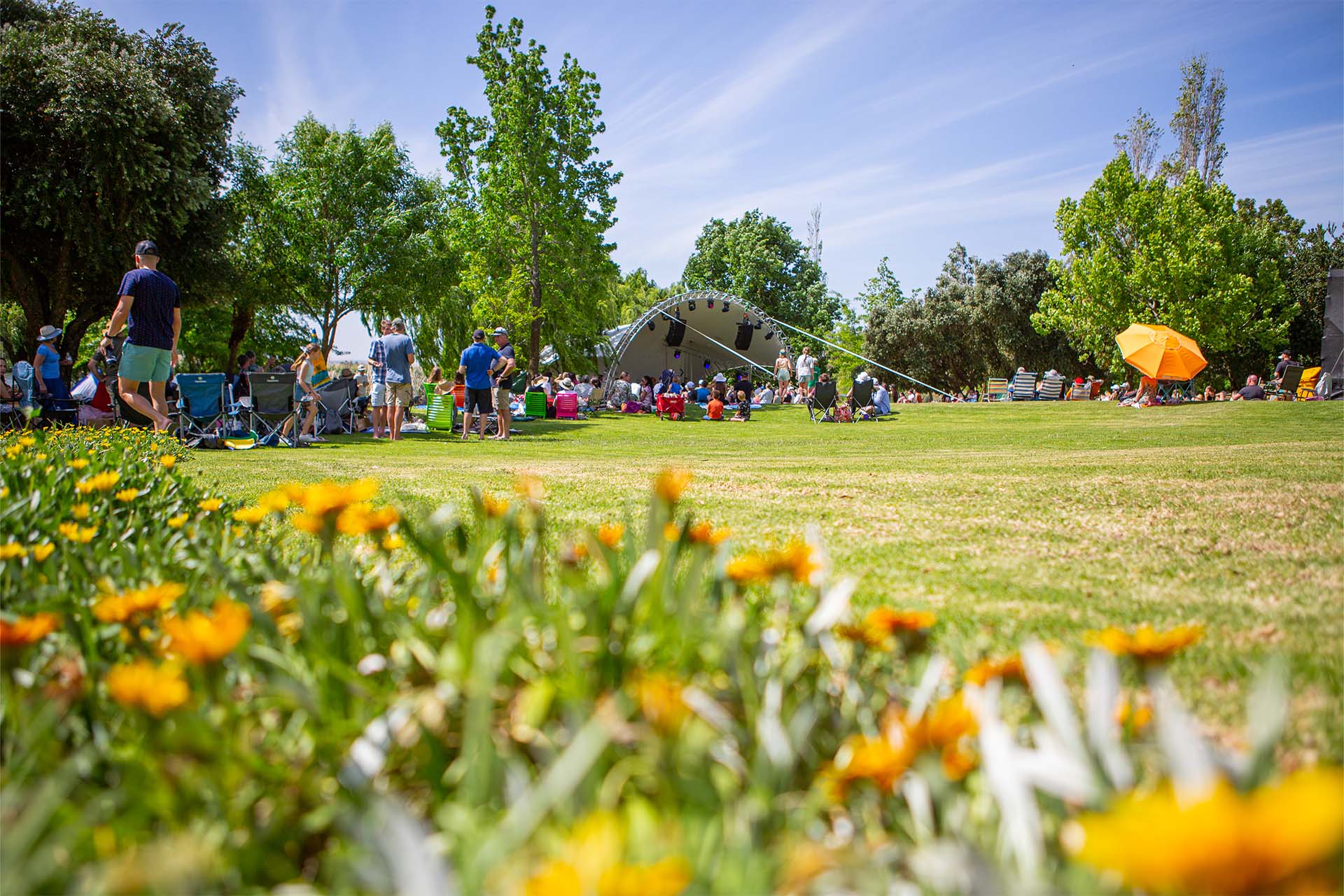 yellow flowers in bloom that lie before a green lawn filled with people at the Flatrock music Festival which is a big music event outside Cape Town