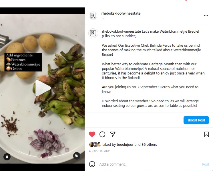 wtaerblommetjie BTS cook