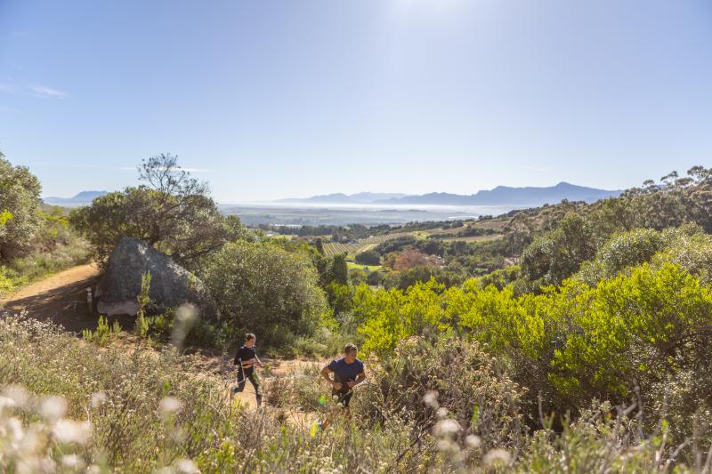 Rhebokskloof-Estate-Trails